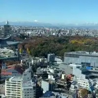 epilepsy(てんかん)の部屋