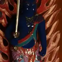 頭蓋情報
