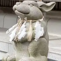 Type 1（1型糖尿病）Hokkaido