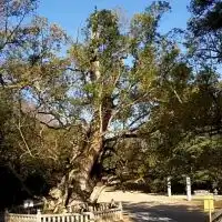 💕リウマチ患者の会💕