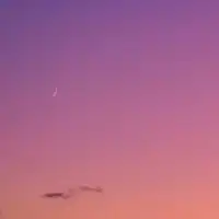 心因性頻尿を乗り越えたい