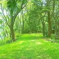 パニック障害の方とお話したいです。