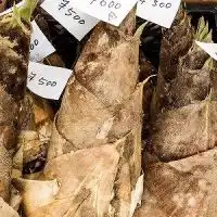 【美意識高い男性専用】増大サプリ、精力剤の真実を何でも話そうよ