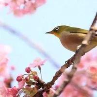 HSPさん専用の部屋໒꒱· ﾟ