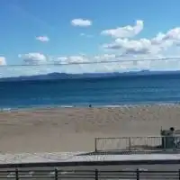 骨粗鬆症の情報