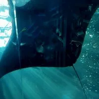 1人で寂しい　病気でキツいなぁって　愚痴でも良いじゃない