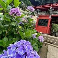 四十肩、五十肩悩む人汗