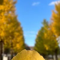 四十肩、五十肩悩む人汗