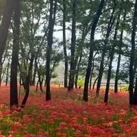 四十肩、五十肩悩む人汗