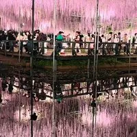 四十肩、五十肩悩む人汗