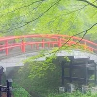 透析患者を支える頑張ってる人達の部屋