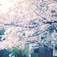泣きたい、つらい、しんどい時に来れる場所