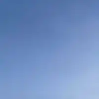 嘔吐恐怖症の人話し合い