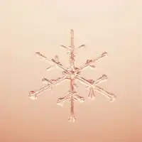 独言～ﾋﾄﾘｺﾞﾄ～【難病・持病・病気の方限定】