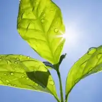 すい臓がん患者の遺族会