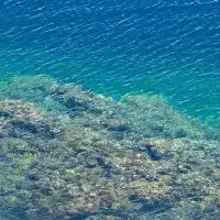 HSP の人の雑談場所🐣(10人制)