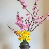 赤磐の子どもを守る会のチャット