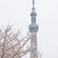 ‪‪‪‪❤︎‬"コロナウイルスについてみんなで共有して身を守ろう！！