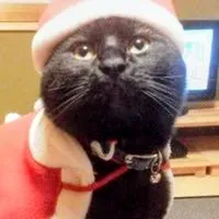 (変)黒猫魔術師スペ(｢◣д◢)｢ｼｬｱｰの部屋