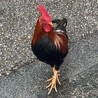ぽかぽか交流会