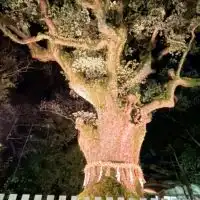岐阜オークション会場