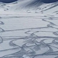 WhiteCrew Freeride SC