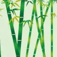 若竹町中央自治会