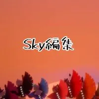 Sky編集