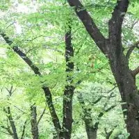 堺市 ママ会☀️