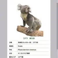 淡路島の子育て世代集まれー！情報交換しましょう！