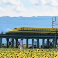 真の鉄道好き