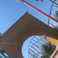 ナガシマ＋遊園地