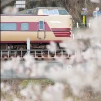 関西の鉄道好きの集い(初心者～上級者まで誰でも...)