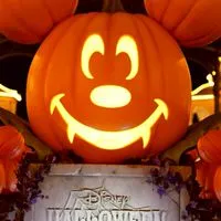 ディズニー（disney）〜夢と魔法の交流部屋〜