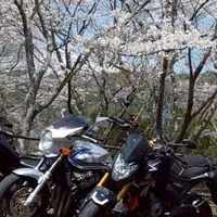 走れ！平日ライダー！【徳島】