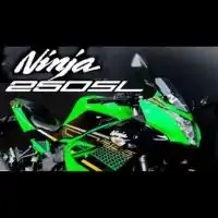 Ninja250SLとZ250SL乗り