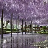 慎之介写真倶楽部