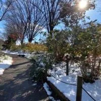 写真と言の葉たち🍀折々の散歩道🍀