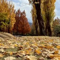 毎日ほのぼの写真