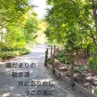 写真と言の葉たち🍀折々の散歩道🍀