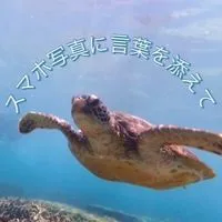 スマホ写真に言葉を添えて