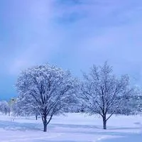 スマホ＆カメラで毎日を|•ᴗ•)و✧pachiri