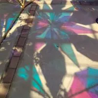 毎日ほのぼの写真