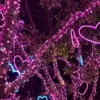 行雲流水 〜風景写真から日常写真まで〜