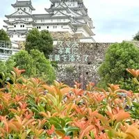 スマホ写真に言葉を添えて