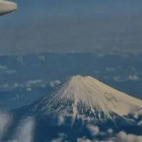 毎日ほのぼの写真