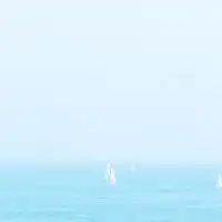 癒しの空間