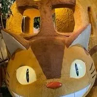 伊豆好きな人集まれ😄　海やドライブ旅行する際の情報収集だけでも気楽にどうぞ😁