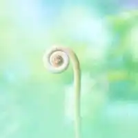 2023.5.01月-02火 熊野古道を歩きます。のメンバー