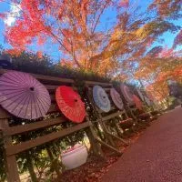 伊豆好きな人集まれ😄　海やドライブ旅行する際の情報収集だけでも気楽にどうぞ😁